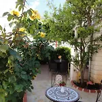 Orange Tree Cavtat