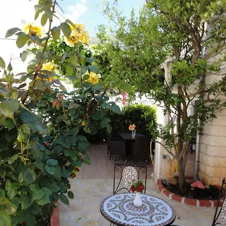 Orange Tree קאבטאט